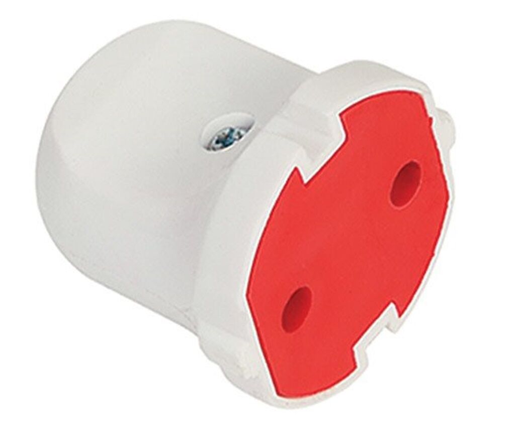 Dişi Fiş Topraksız